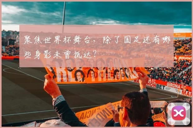 聚焦世界杯舞台,除了国足还有哪些身影未曾抵达?