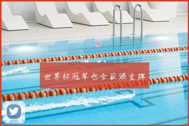 世界杯冠军也会获颁金牌