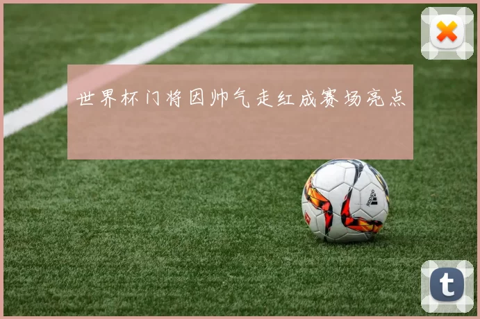 世界杯门将因帅气走红成赛场亮点