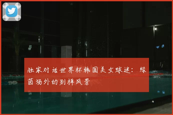 独家对话世界杯韩国美女球迷:绿茵场外的别样风景