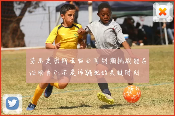 芬尼史密斯面临合同到期挑战能否证明自己不是诈骗犯的关键时刻