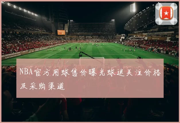 NBA官方用球售价曝光球迷关注价格及采购渠道