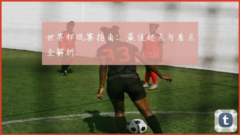 世界杯观赛指南:最佳起点与看点全解析