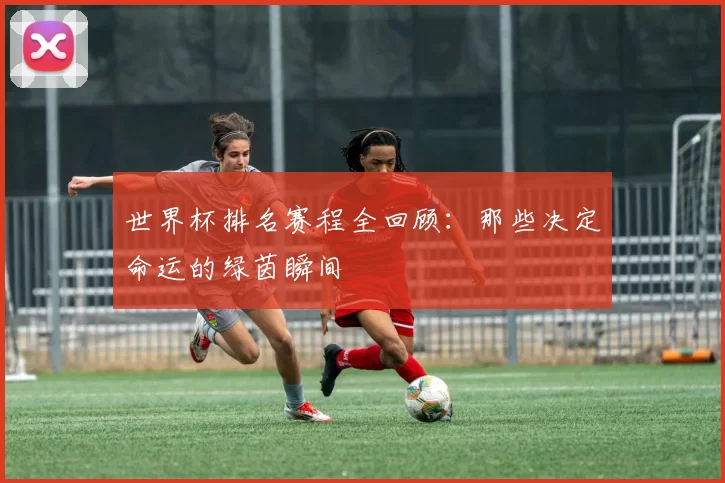 世界杯排名赛程全回顾：那些决定命运的绿茵瞬间