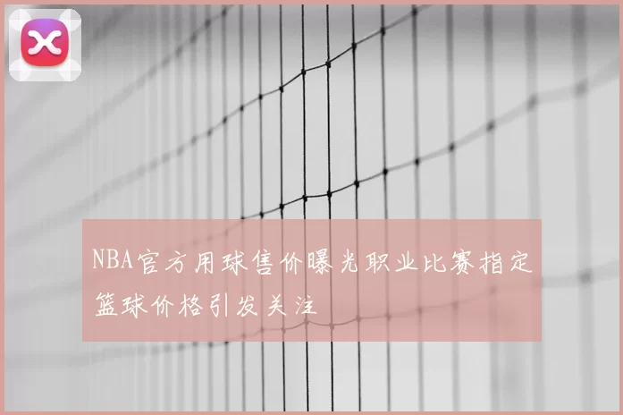 NBA官方用球售价曝光职业比赛指定篮球价格引发关注