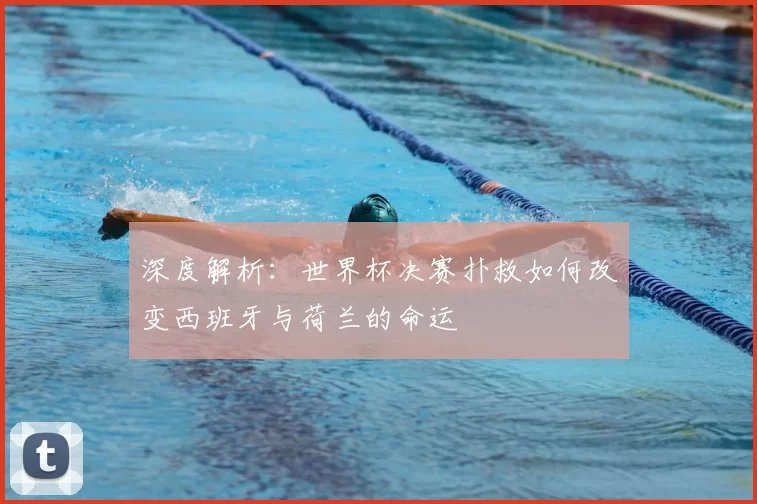 深度解析:世界杯决赛扑救如何改变西班牙与荷兰的命运