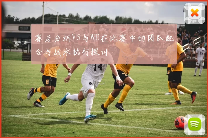 赛后分析V5与WE在比赛中的团队配合与战术执行探讨
