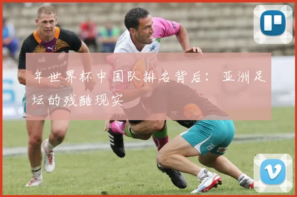 年世界杯中国队排名背后:亚洲足坛的残酷现实